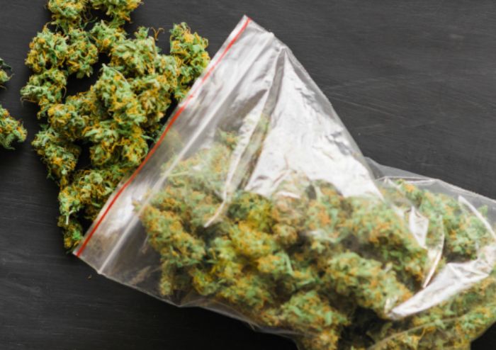 Nasiona marihuany automaty