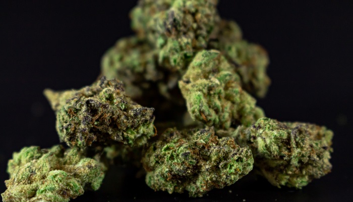 hybrydowa marihuany kwiaty