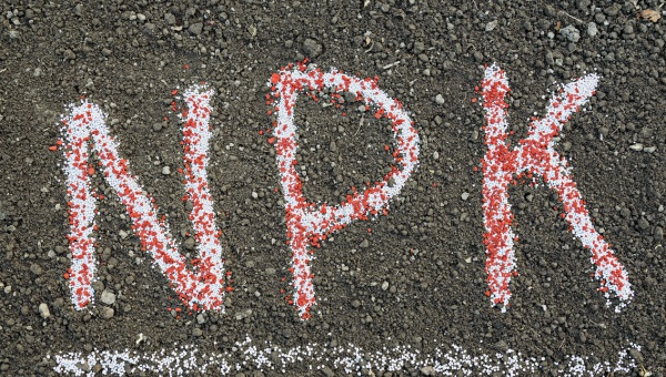 nawozy do konopi