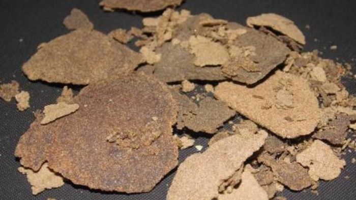 przechowywanie marihuany