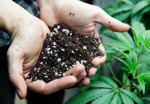 ziemia do automatów outdoor