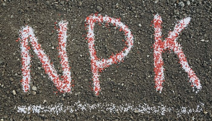 nawozy npk do konopi