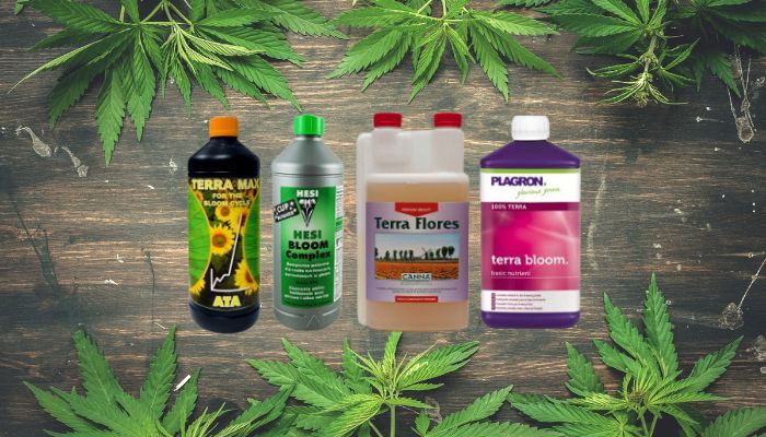 odżywki do marihuany