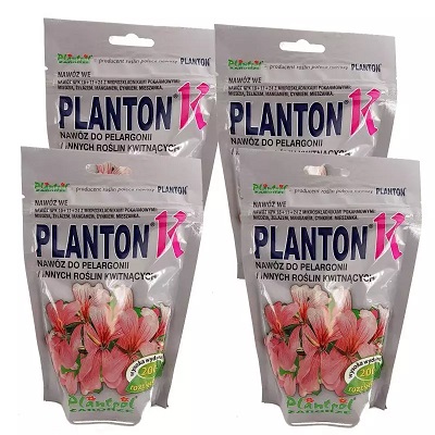 planton k do marihuany