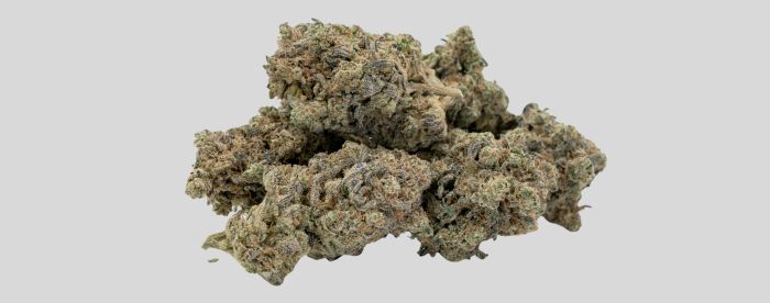 uprawa marihuany indoor vs outdoor