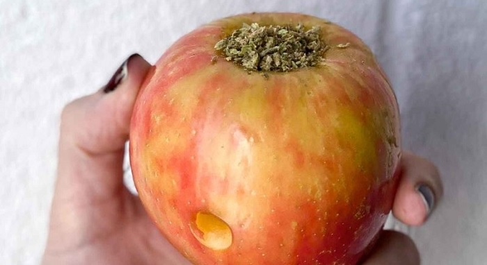 palenie z jabłka marihuany