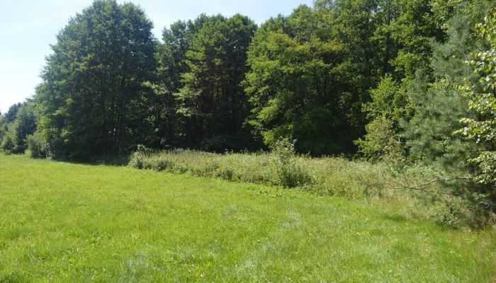 uprawa konopi na zewnątrz