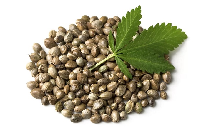 jak wyglądają nasiona marihuany