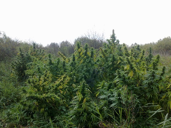 passion 1 fotorelacja