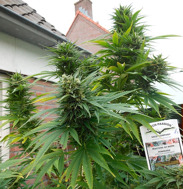 Passion 1 fotorelacja