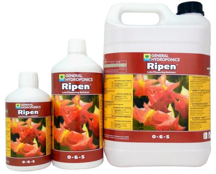 ripen nawóz na ostatnie dni uprawy marihuany