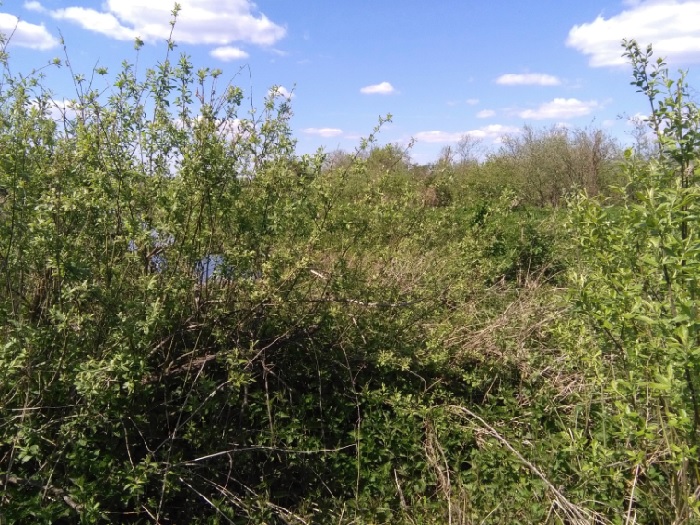 spot outdoor wybór idealnej miejscówki