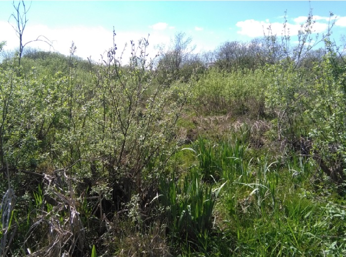 spot outdoor wybór idealnej miejscówki