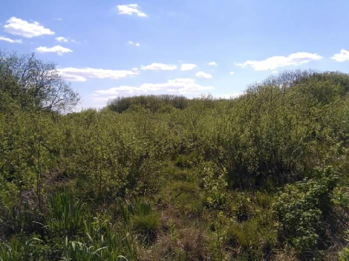 spot outdoor wybór idealnej miejscówki