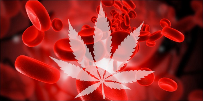 thc we krwi