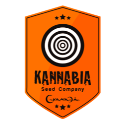 KANNABIA SEED
