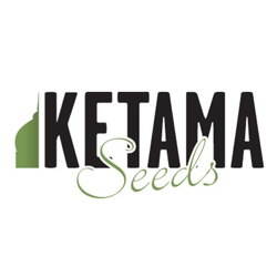 KETAMA SEEDS