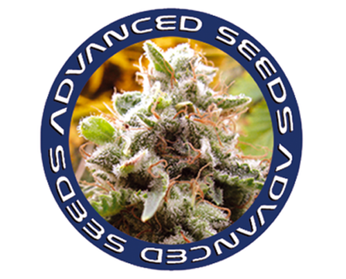 ADVANCED SEEDS