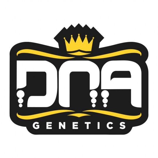 DNA GENETICS