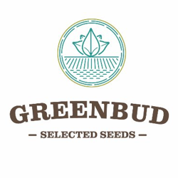 GREENBUD SEEDS
