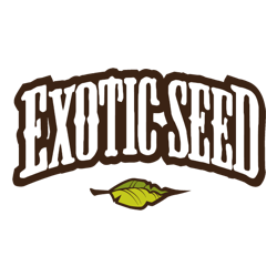 EXOTIC SEED