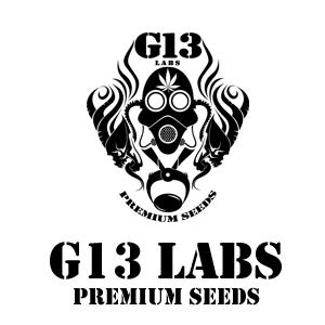 G13 LABS
