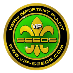 VIP SEEDS