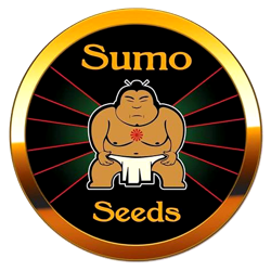 SUMO SEEDS