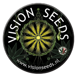 VISION SEEDS