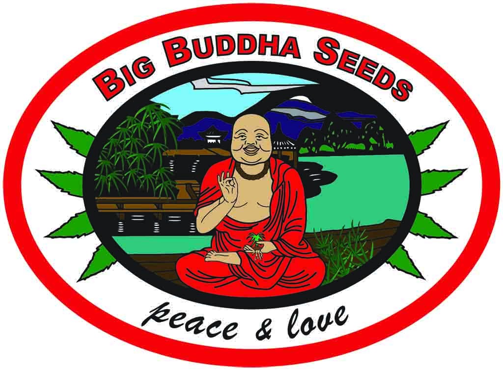 BIG BUDDHA SEEDS
