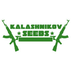 KALASHNIKOV SEEDS
