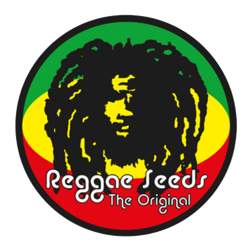 REGGAE SEEDS