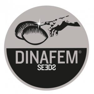 DINAFEM SEEDS