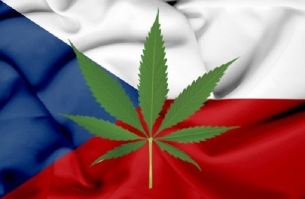 Czechy coffee shop - gdzie kupić marihuanę 