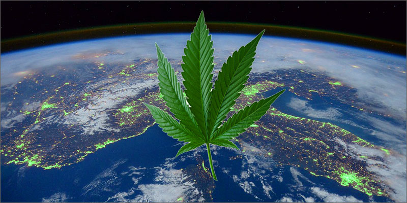 gdzie jest legalna marihuana