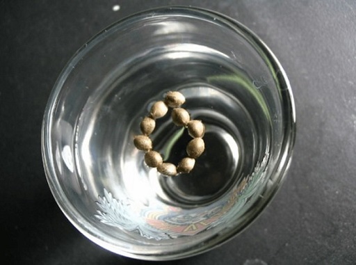 Precrushing kiełkowanie nasion marihuany