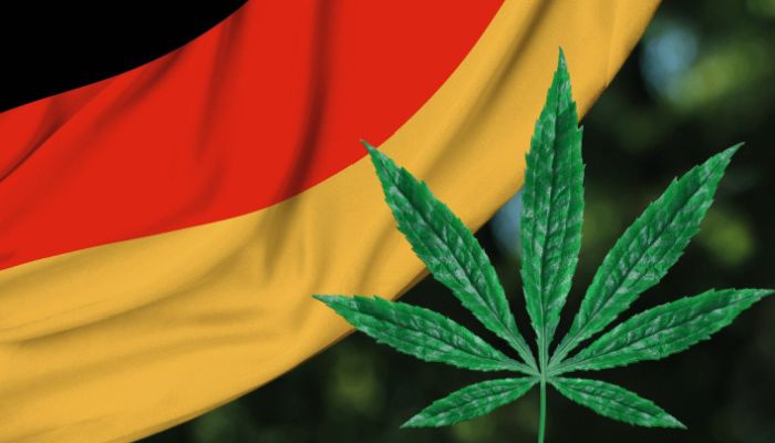 marihuana w niemczech