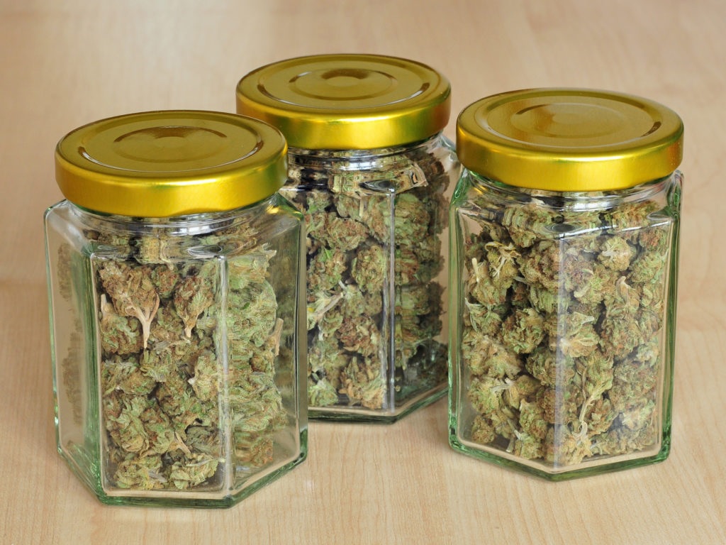 kiedy zbierać plony 