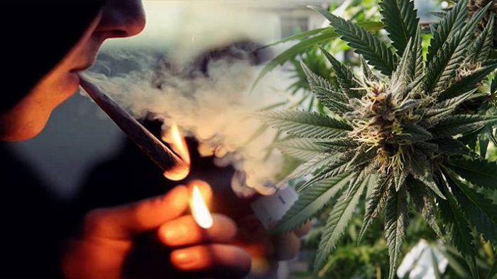 Kto wypalił najwięcej jointów na świecie