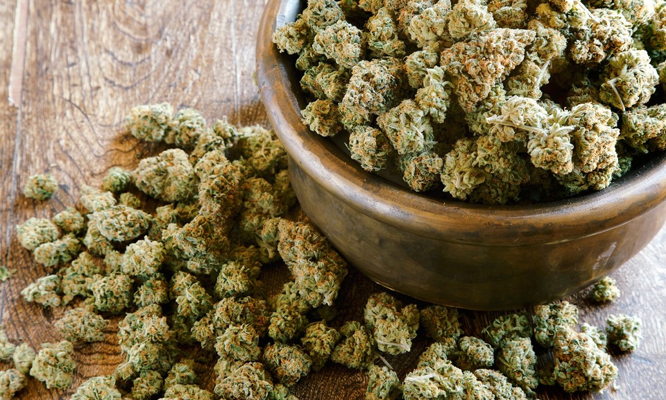 Najmocniejsza odmiana marihuany na świecie