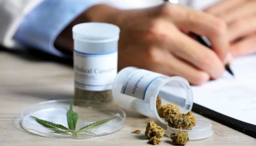 jak zdobyć receptę na marihuanę medyczną